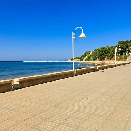 Brisas Vyb Дения